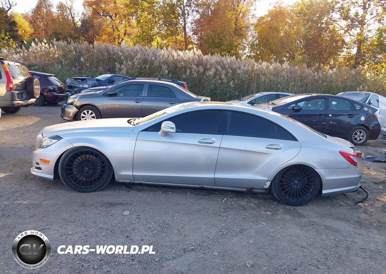 2012 Mercedes-Benz Cls 550 4Matic VIN:WDDLJ9BB9CA044550 - 14