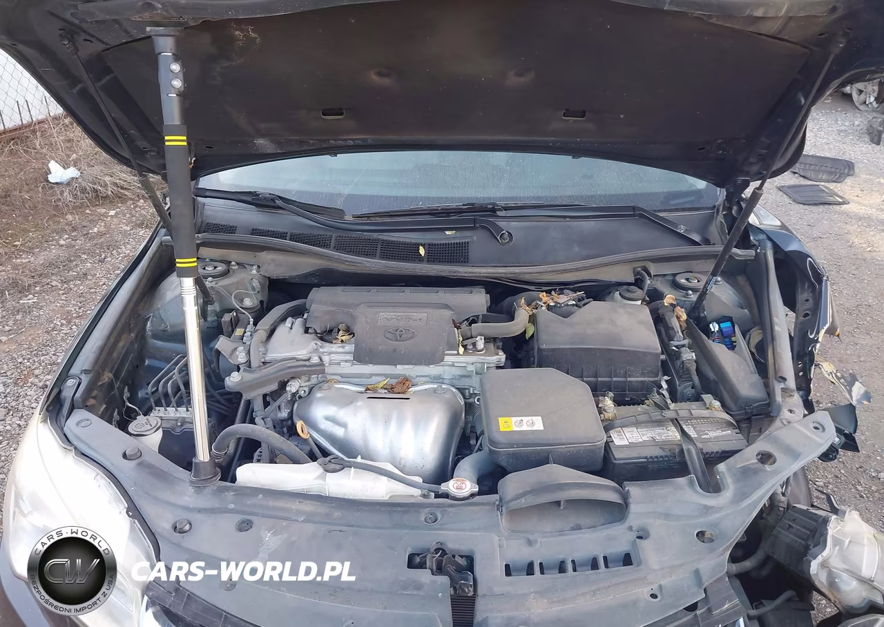 2017 Toyota Camry Xle VIN:4T1BF1FK6HU419072 - 10