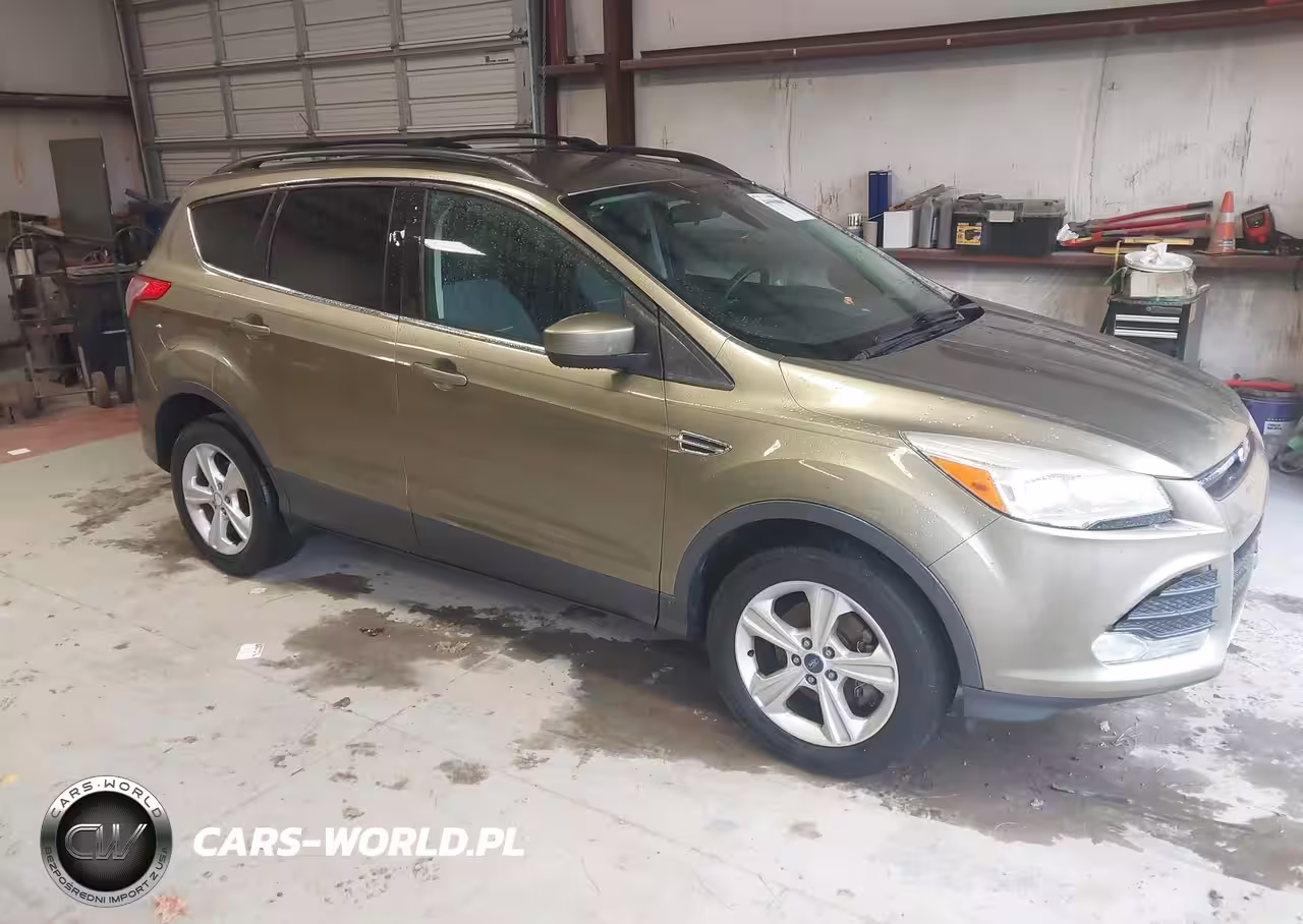 2013 Ford Escape Se