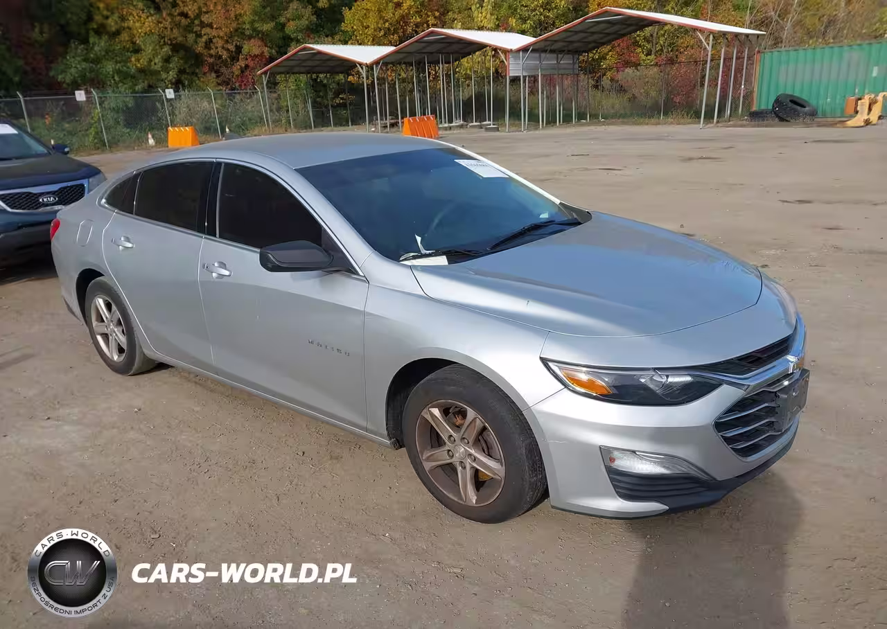 2019 Chevrolet Malibu 1Fl