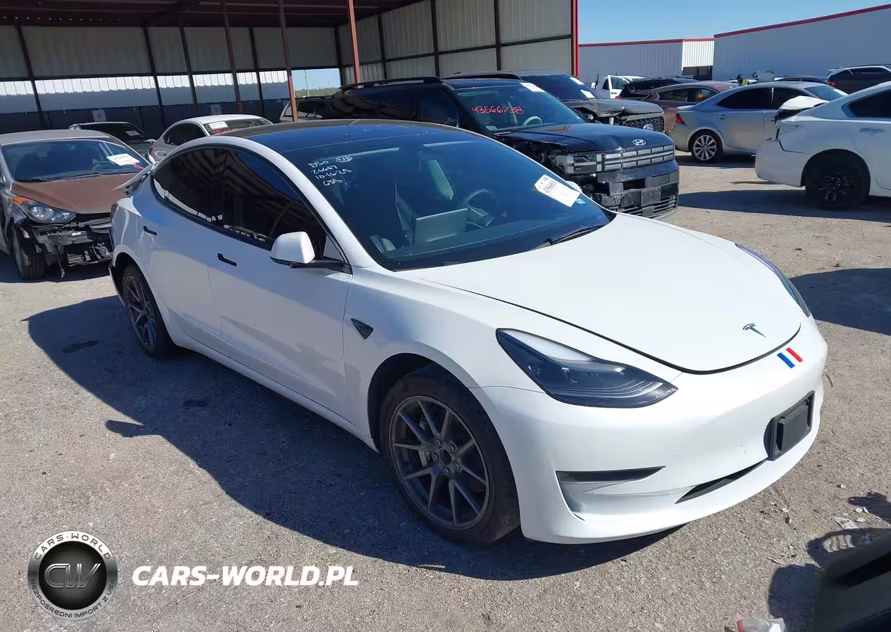 2023 Tesla Model 3 Rear-Wheel Drive