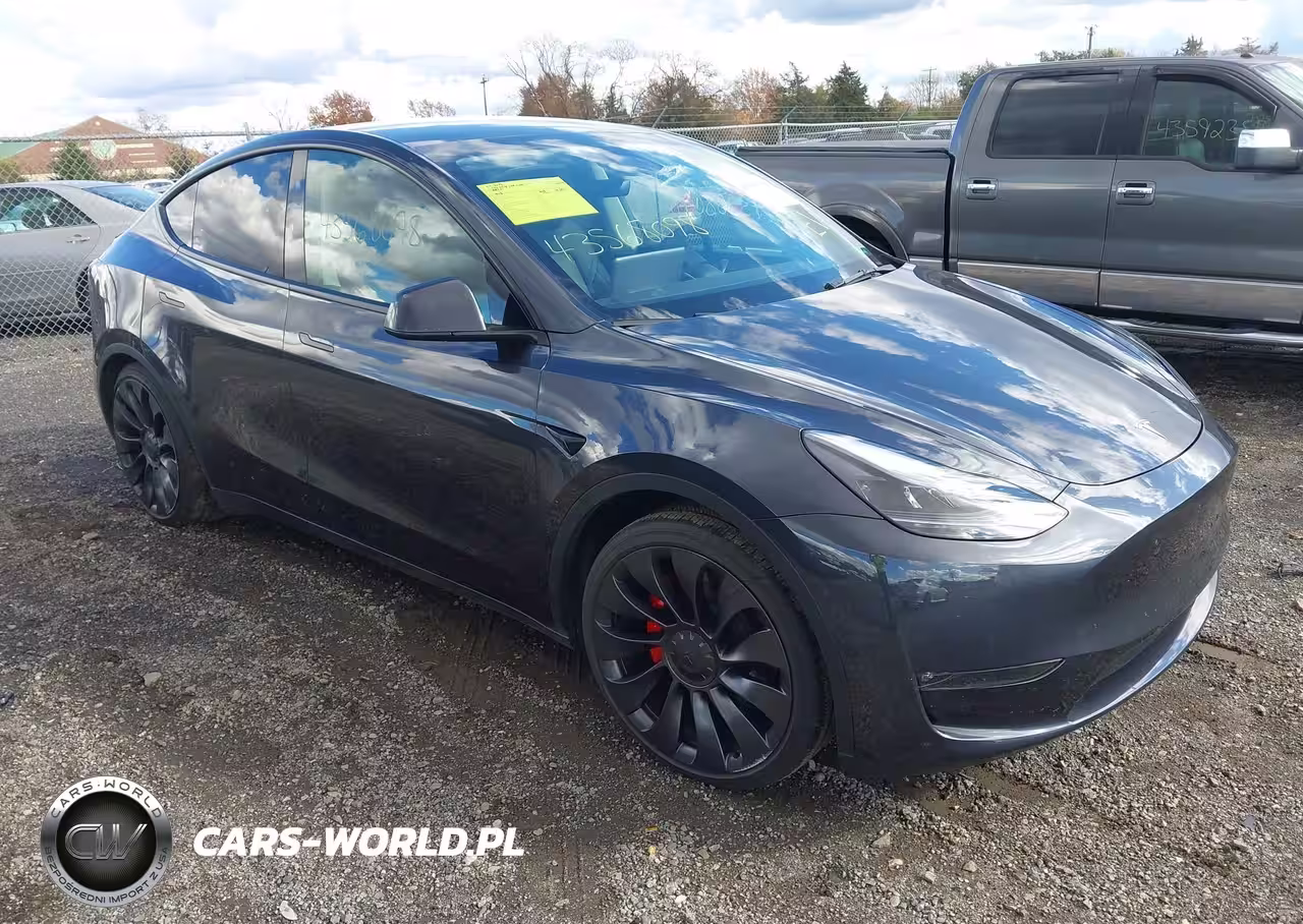 2024 Tesla Model Y Performance Dual Motor All-Wheel Drive