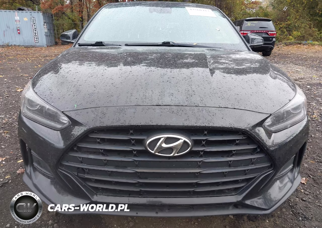 2019 Hyundai Veloster 2.0 Premium VIN:KMHTG6AF0KU012056 - 12