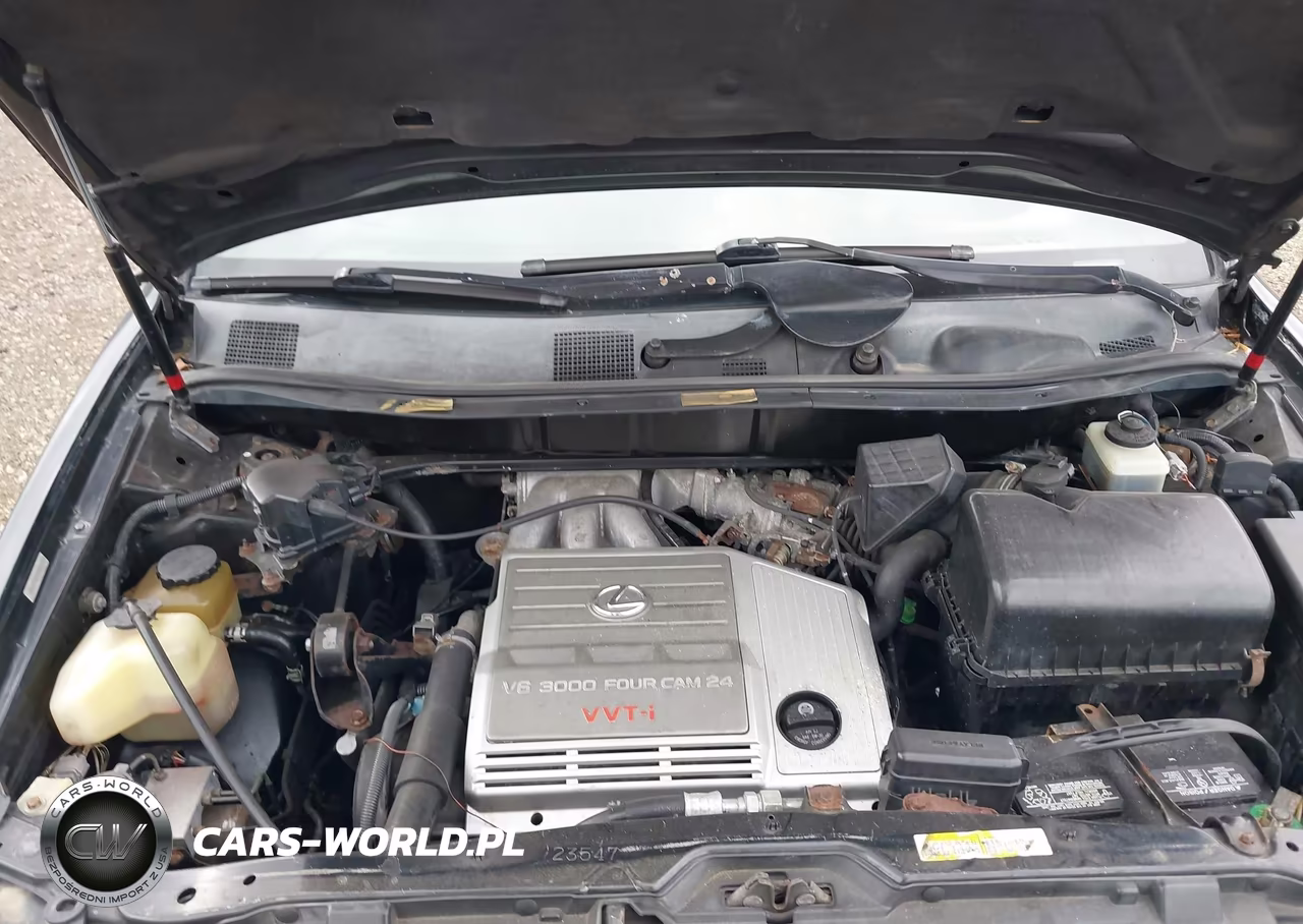 2000 Lexus Rx 300 VIN:JT6HF10U5Y0142857 - 10