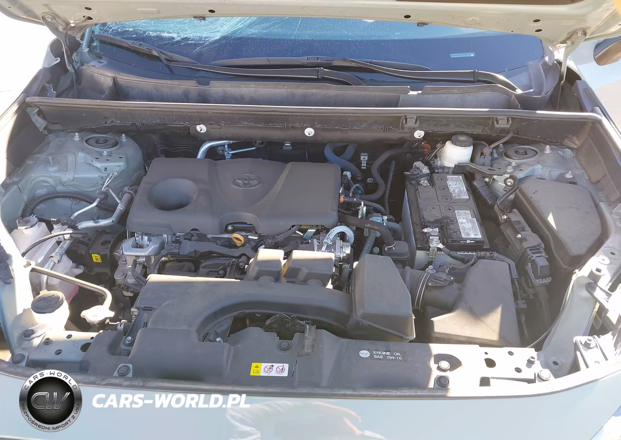 2023 Toyota Rav4 Xle VIN:2T3W1RFV5PW269597 - 10