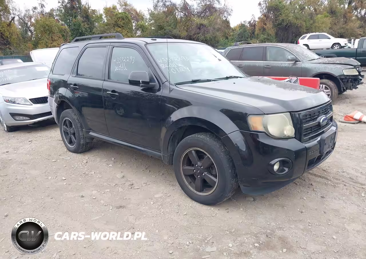 2009 Ford Escape Xlt