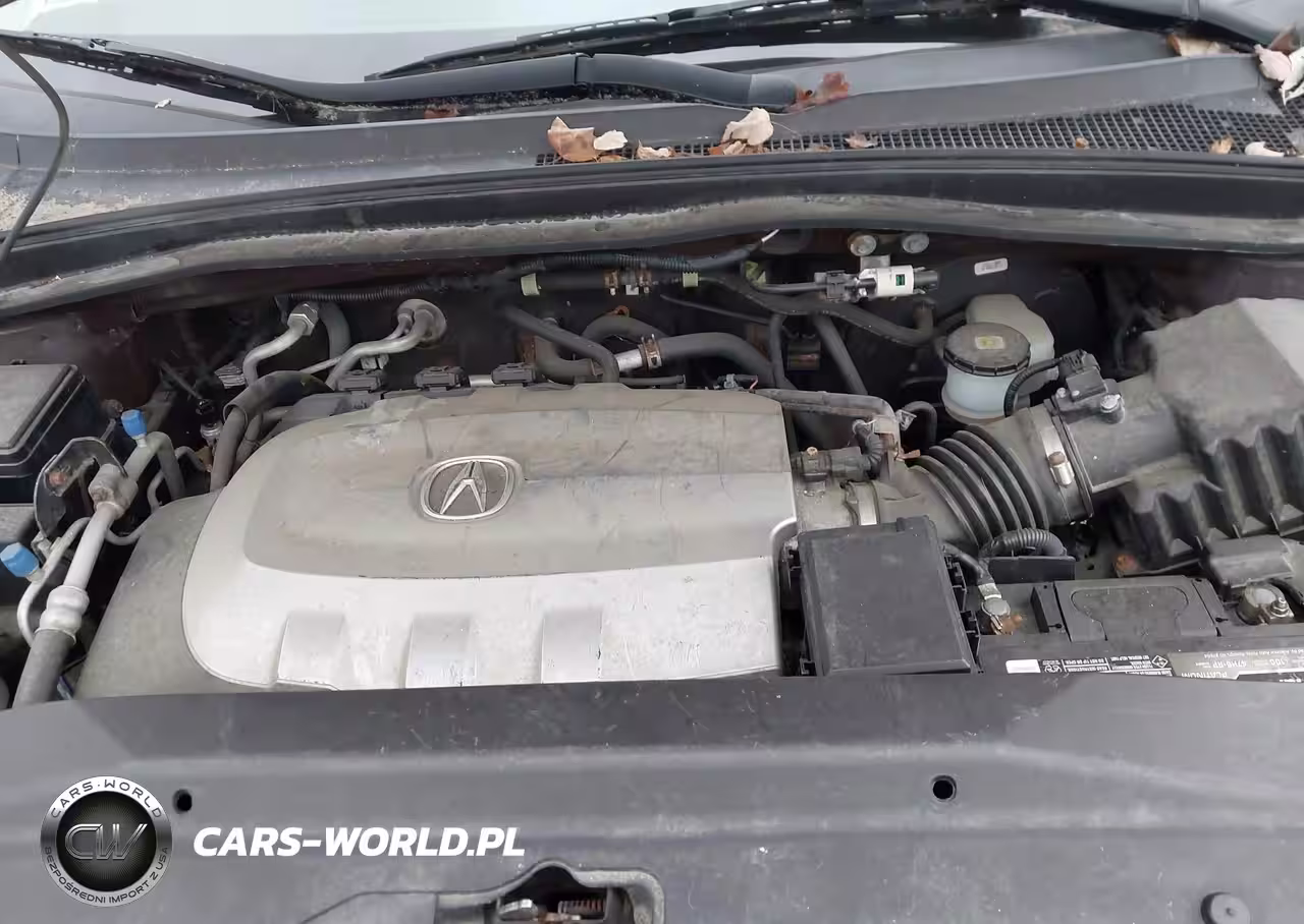 2010 Acura Mdx Advance Package VIN:2HNYD2H70AH506410 - 10