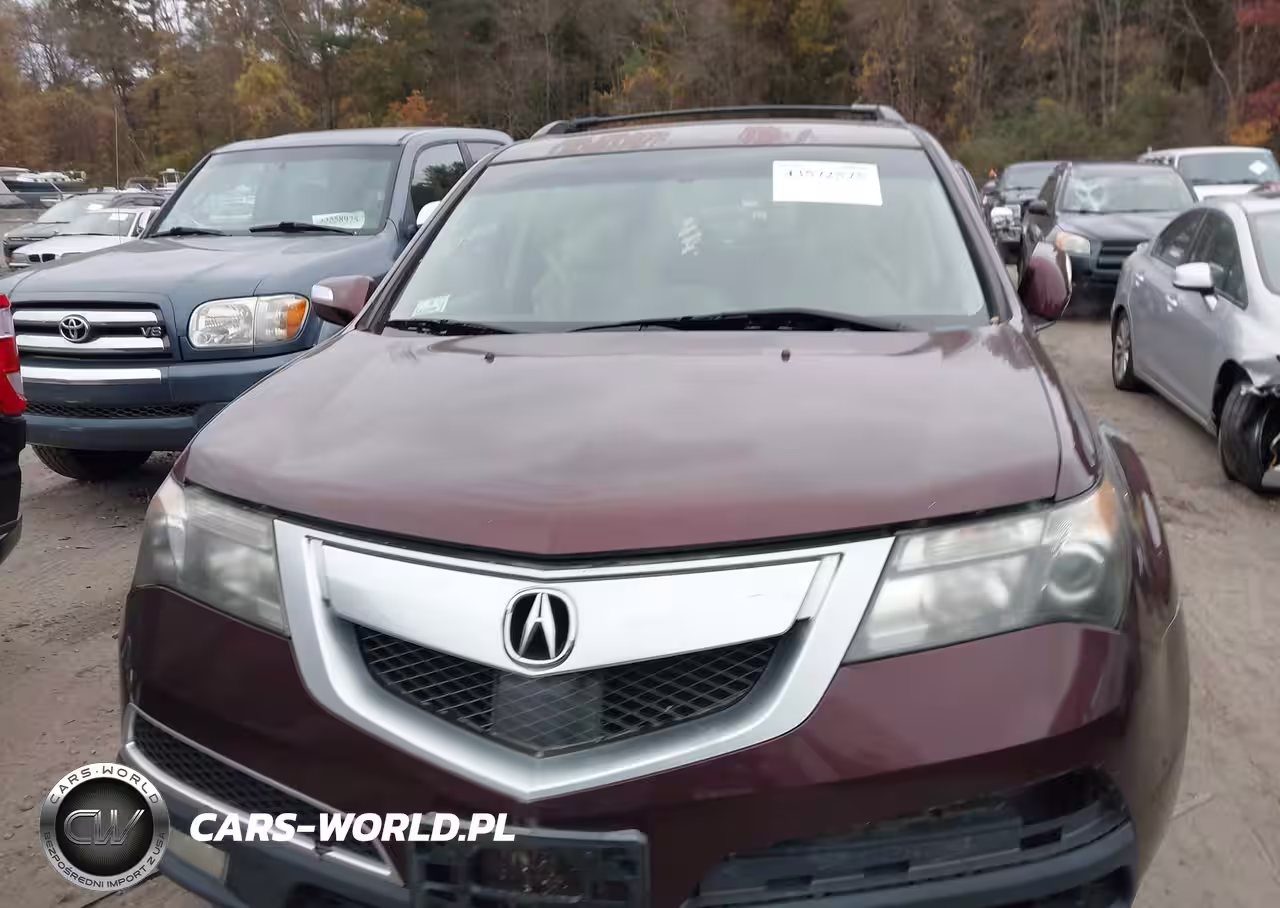 2010 Acura Mdx Advance Package VIN:2HNYD2H70AH506410 - 12