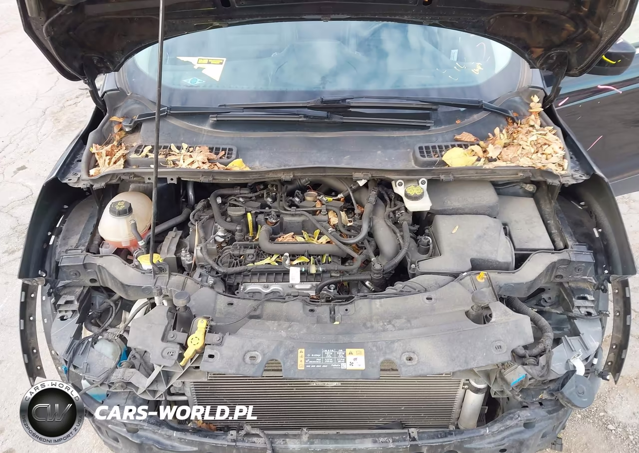 2019 Ford Escape Sel VIN:1FMCU9HD6KUA30897 - 10