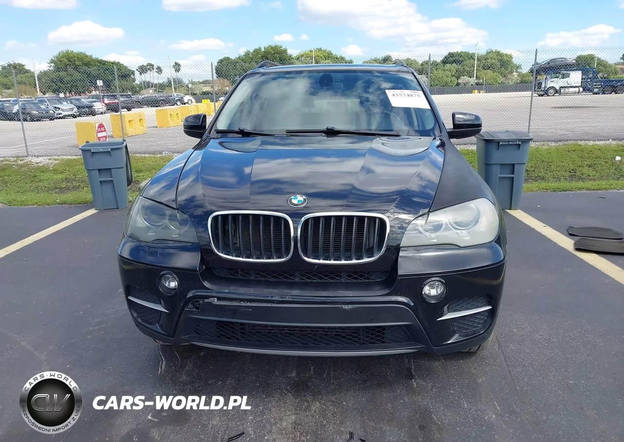 2013 BMW X5 xDrive35I-xDrive35I Premium-xDrive35I Sport Activity VIN:5UXZV4C53D0B00737 - 12