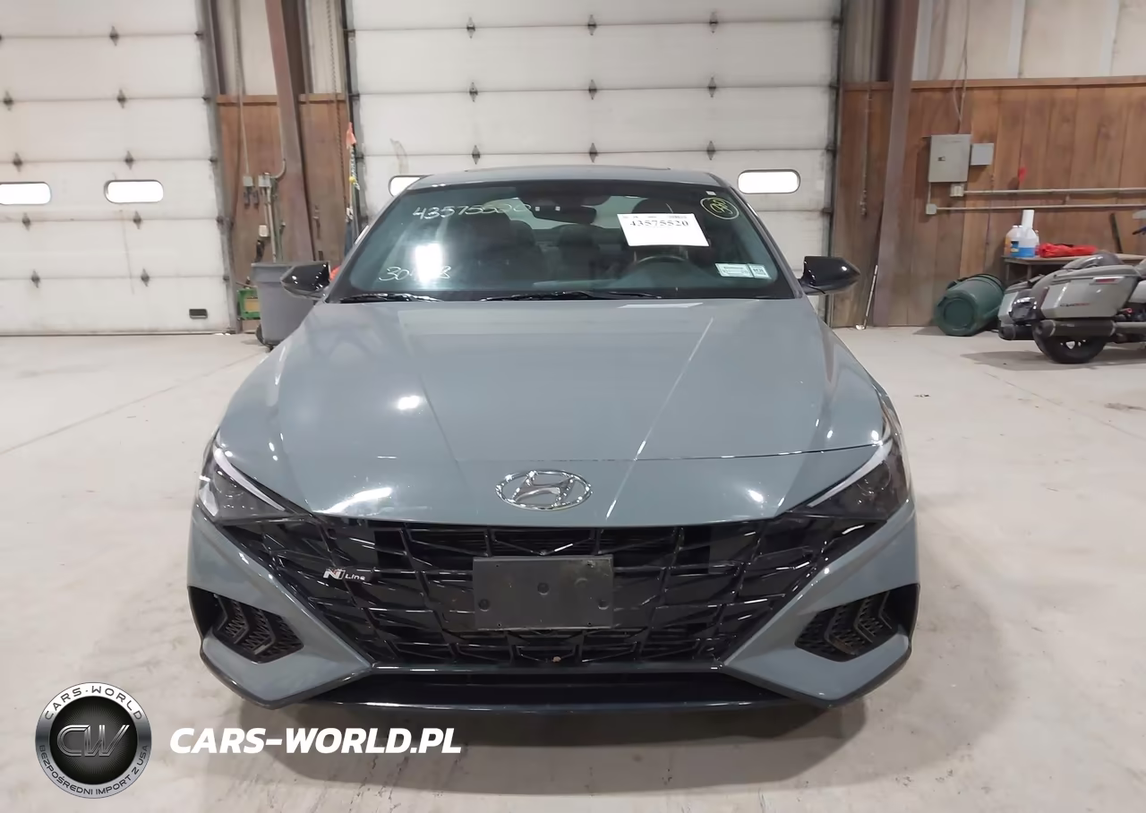 2023 Hyundai Elantra N Line VIN:KMHLR4AF5PU433938 - 12