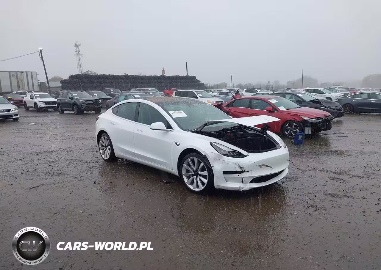 2019 Tesla Model 3 Long Range-Mid Range-Standard Range-Standard Range Plus