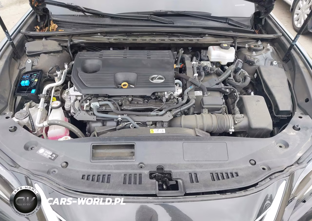 2024 Lexus Es 300H VIN:58ADA1C12RU049090 - 10