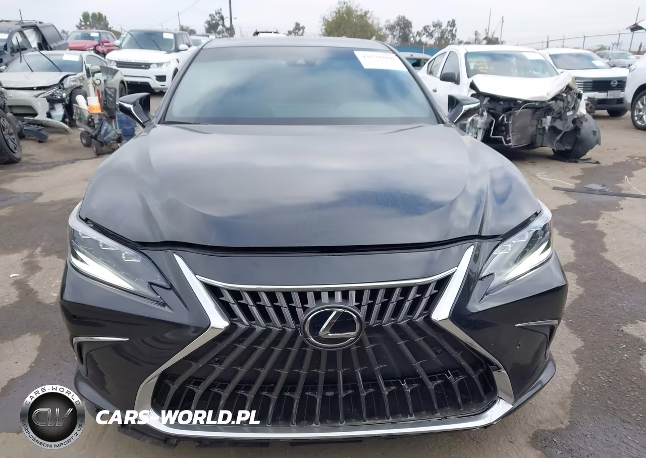 2024 Lexus Es 300H VIN:58ADA1C12RU049090 - 12