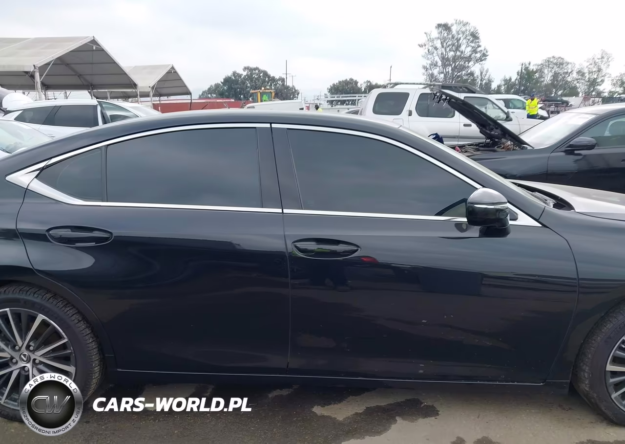 2024 Lexus Es 300H VIN:58ADA1C12RU049090 - 13