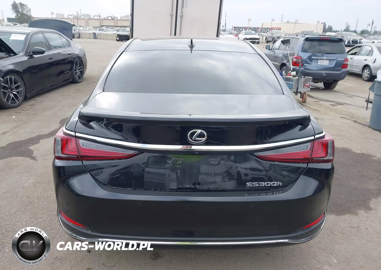 2024 Lexus Es 300H VIN:58ADA1C12RU049090 - 16
