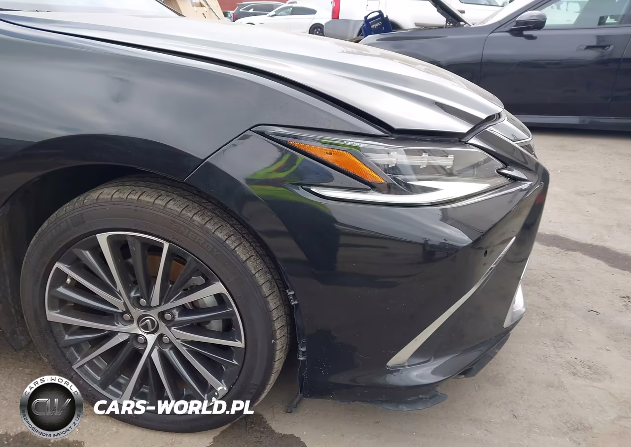 2024 Lexus Es 300H VIN:58ADA1C12RU049090 - 17