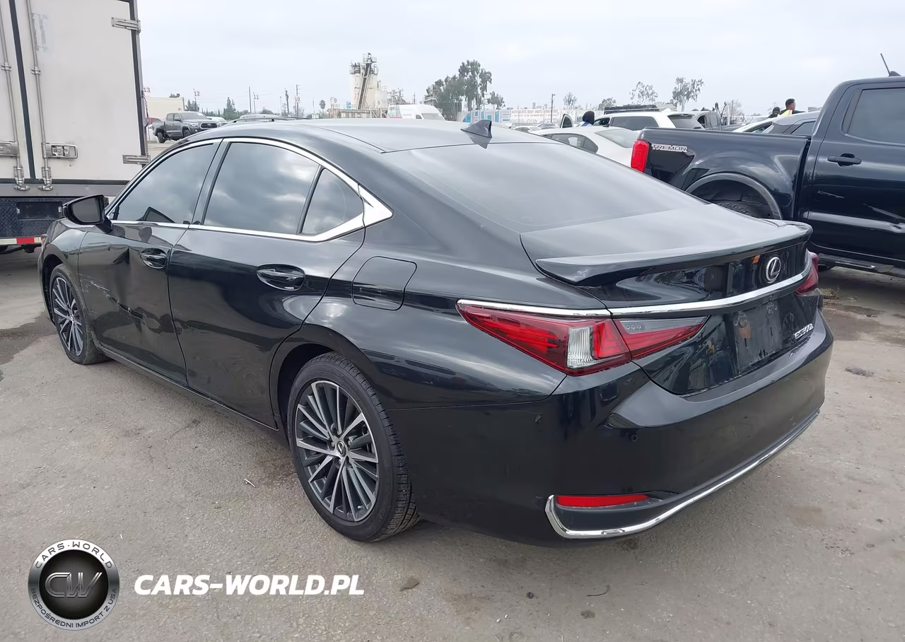2024 Lexus Es 300H VIN:58ADA1C12RU049090 - 3
