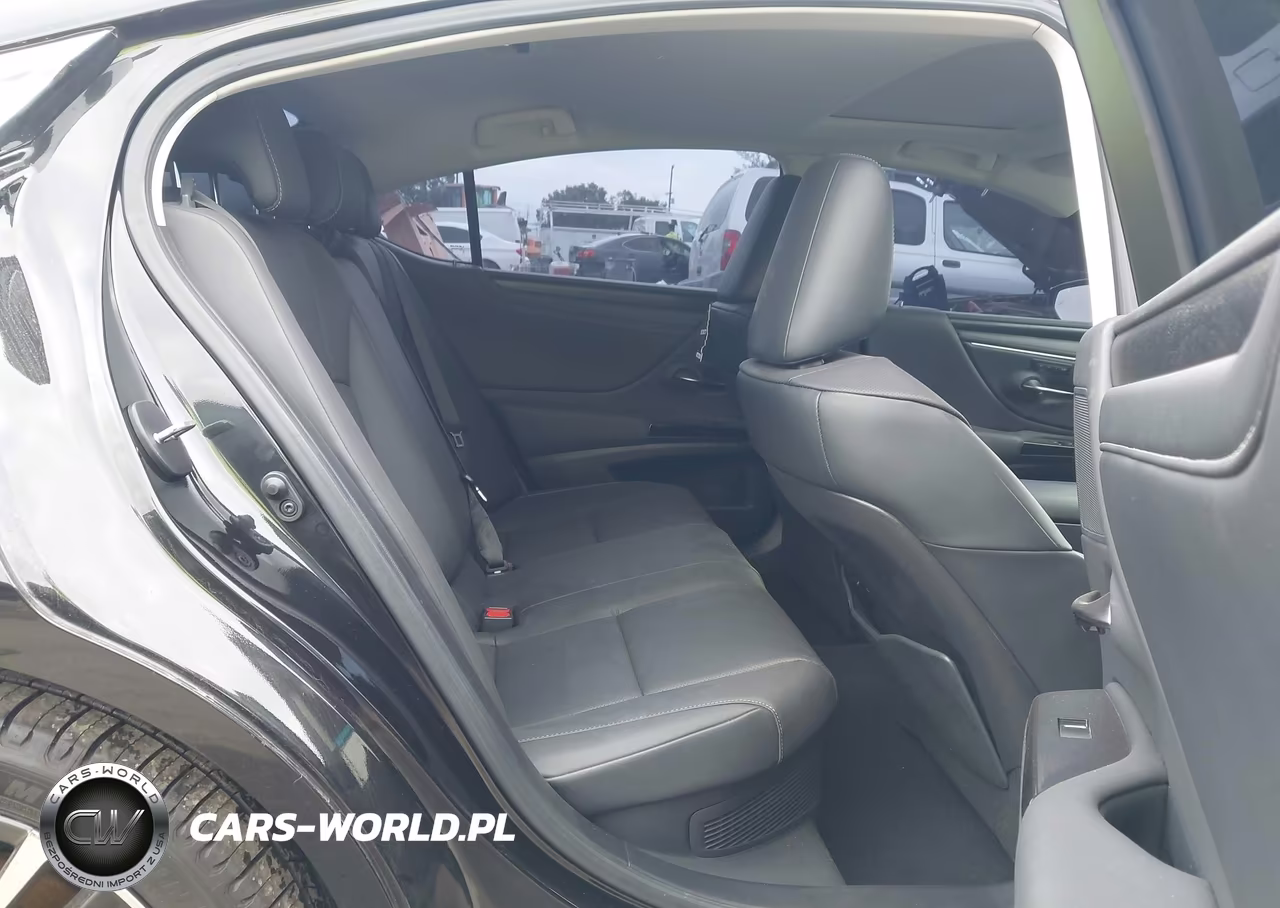 2024 Lexus Es 300H VIN:58ADA1C12RU049090 - 8