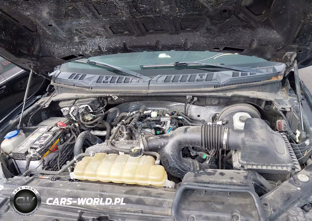 2019 Ford F-150 Xl VIN:1FTEW1CP5KKC85191 - 10