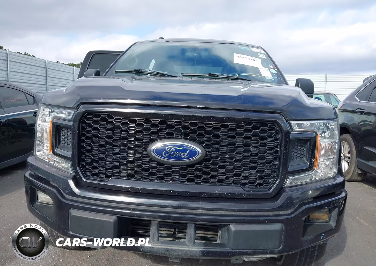 2019 Ford F-150 Xl VIN:1FTEW1CP5KKC85191 - 12