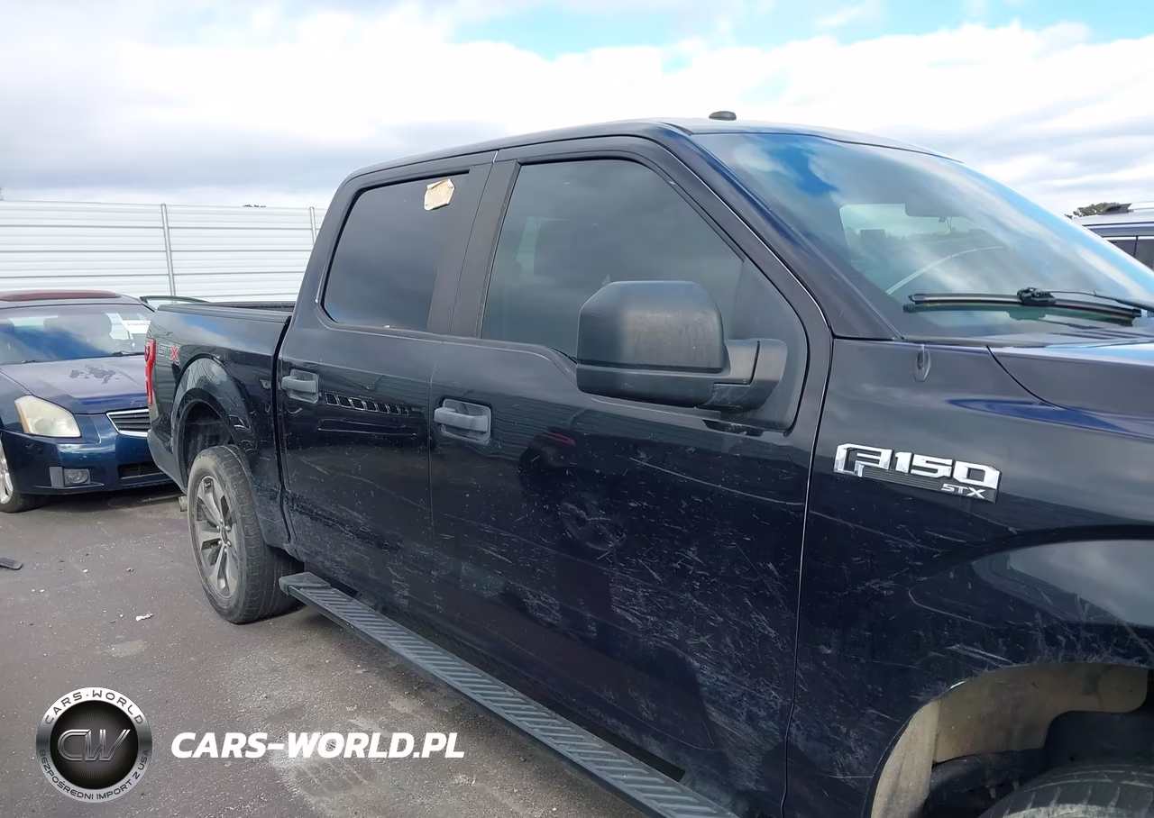 2019 Ford F-150 Xl VIN:1FTEW1CP5KKC85191 - 13