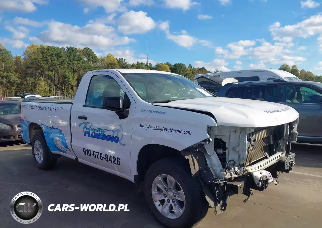 2019 Chevrolet Silverado 1500 Work Truck