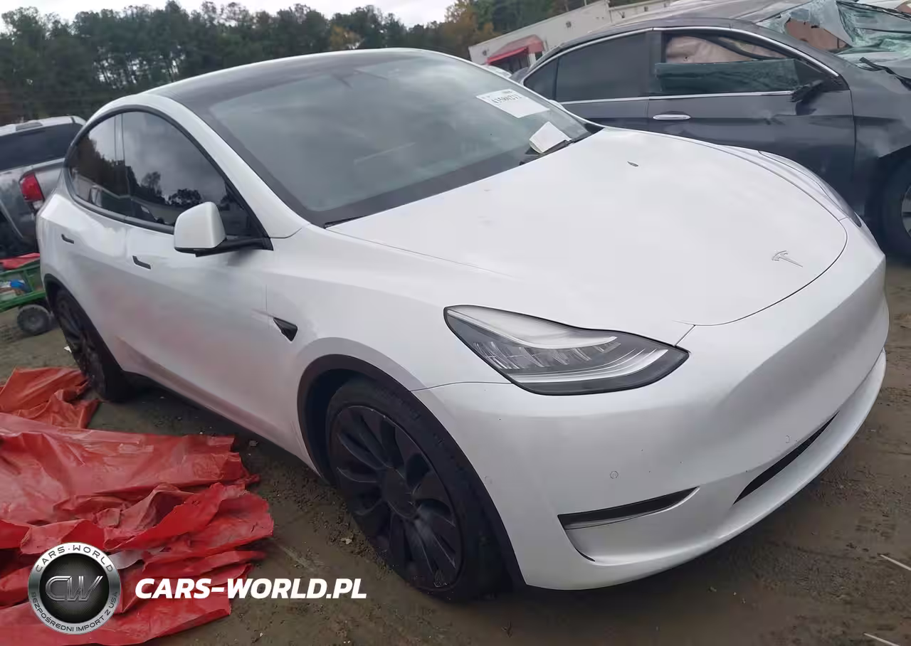 2021 Tesla Model Y Performance Dual Motor All-Wheel Drive