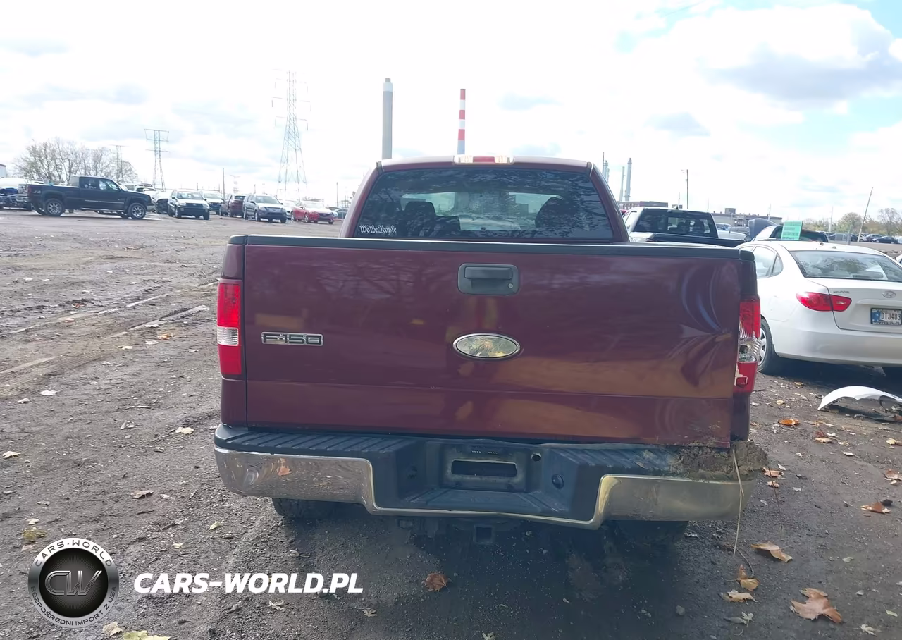 2006 Ford F-150 Stx-Xl-Xlt VIN:1FTRX14W76NA70369 - 17