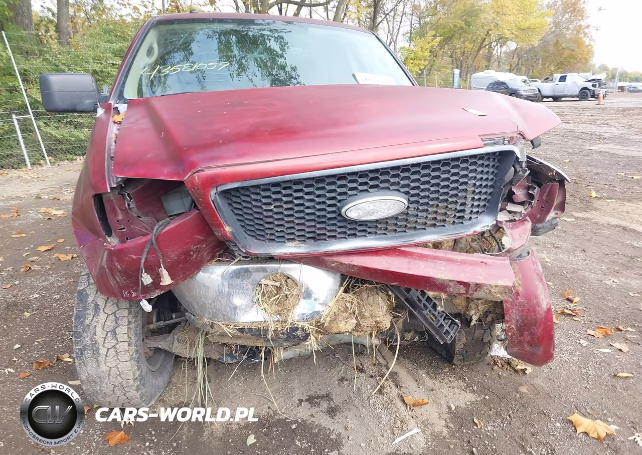 2006 Ford F-150 Stx-Xl-Xlt VIN:1FTRX14W76NA70369 - 6