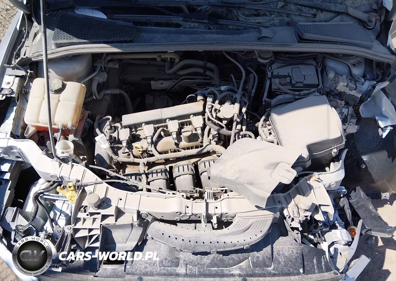 2016 Ford Focus Se VIN:1FADP3F22GL365575 - 10