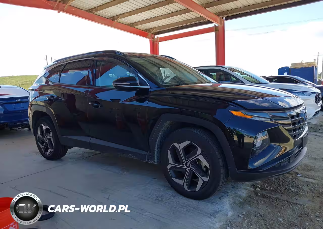 2023 Hyundai Tucson Limited VIN:5NMJECAE2PH172185 - 14