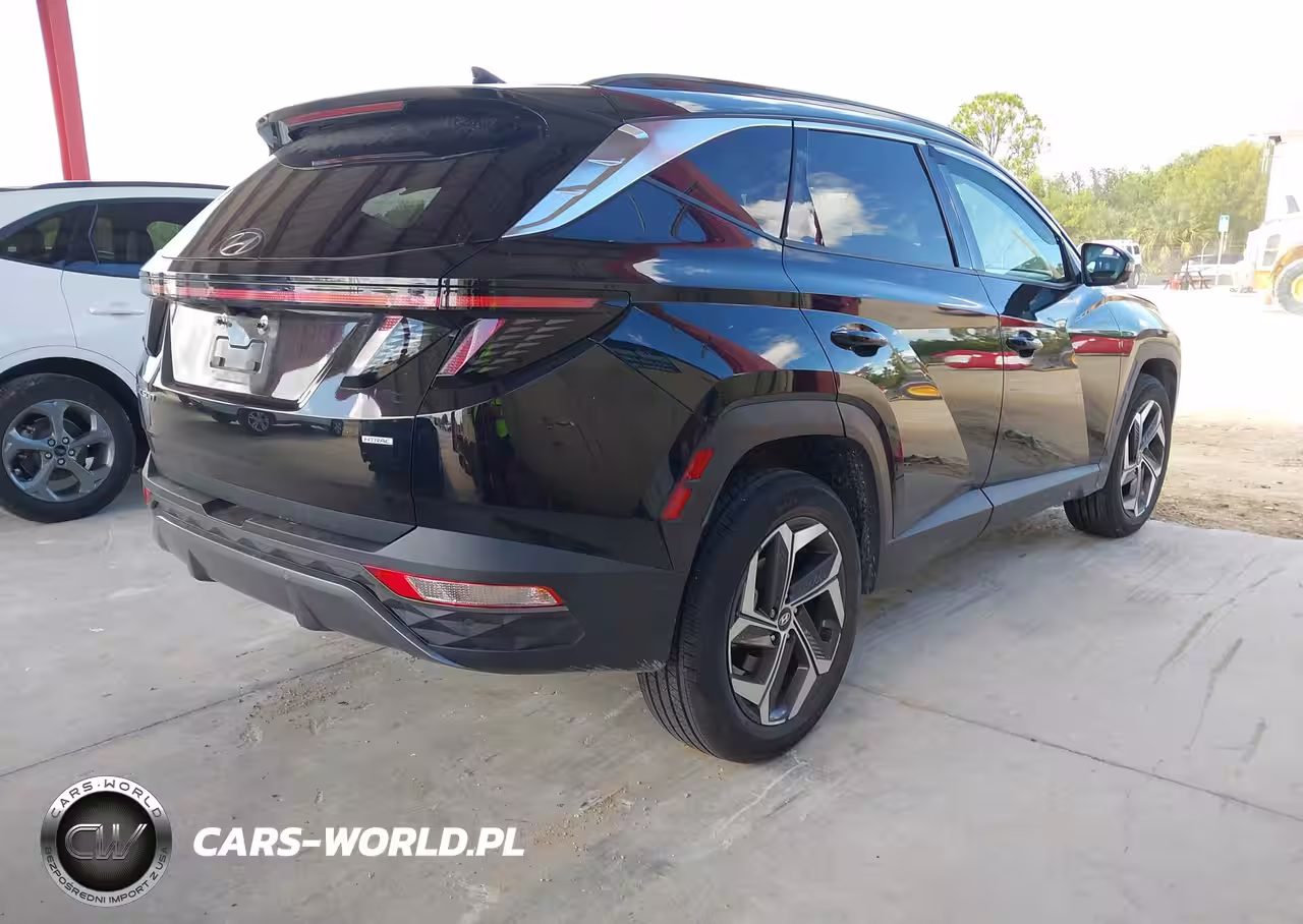 2023 Hyundai Tucson Limited VIN:5NMJECAE2PH172185 - 4