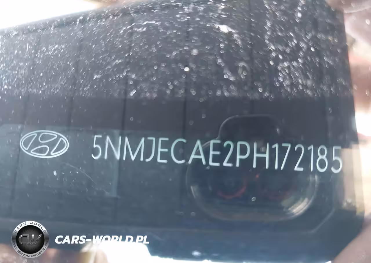 2023 Hyundai Tucson Limited VIN:5NMJECAE2PH172185 - 9