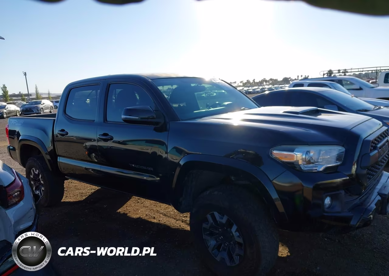 2017 Toyota Tacoma Trd Sport VIN:3TMCZ5AN1HM044737 - 13