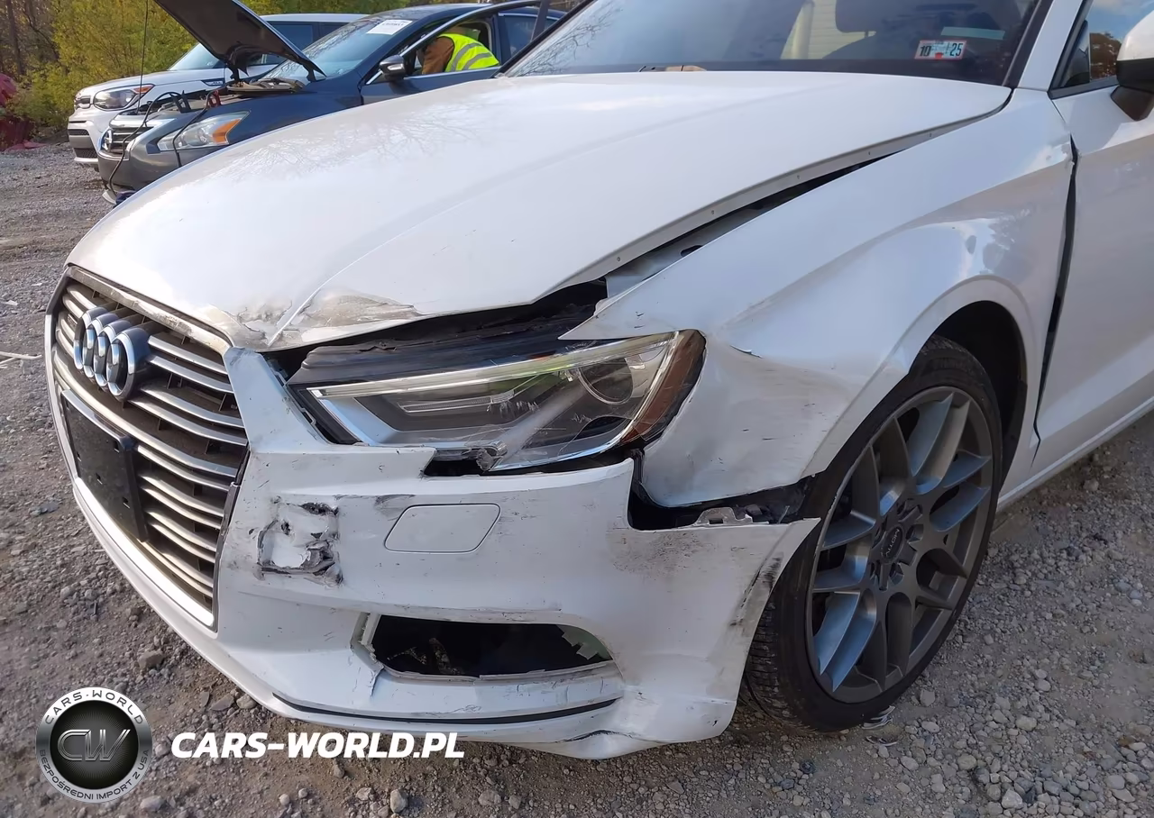 2017 Audi A3 Premium VIN:WAUB8GFF1H1032979 - 17