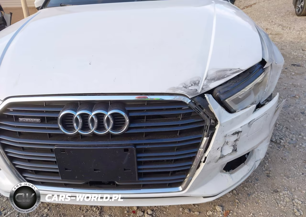 2017 Audi A3 Premium VIN:WAUB8GFF1H1032979 - 19