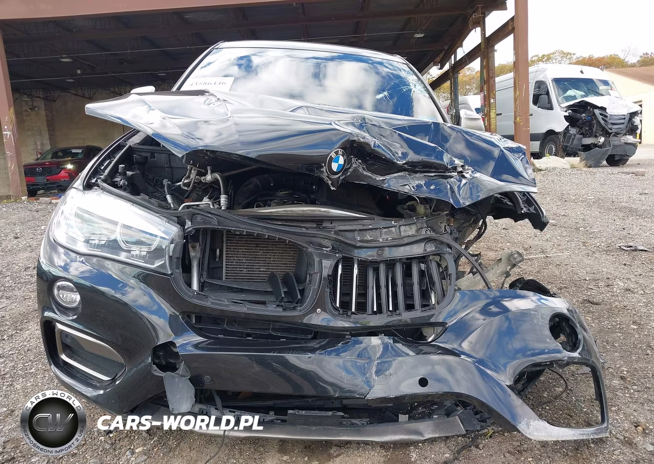 2018 BMW X6 VIN:5UXKU2C52J0X50337 - 12