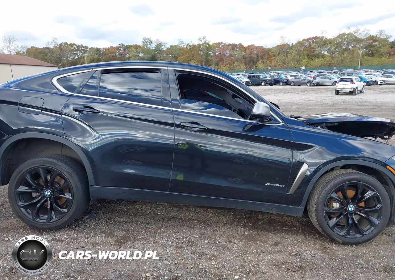 2018 BMW X6 VIN:5UXKU2C52J0X50337 - 13