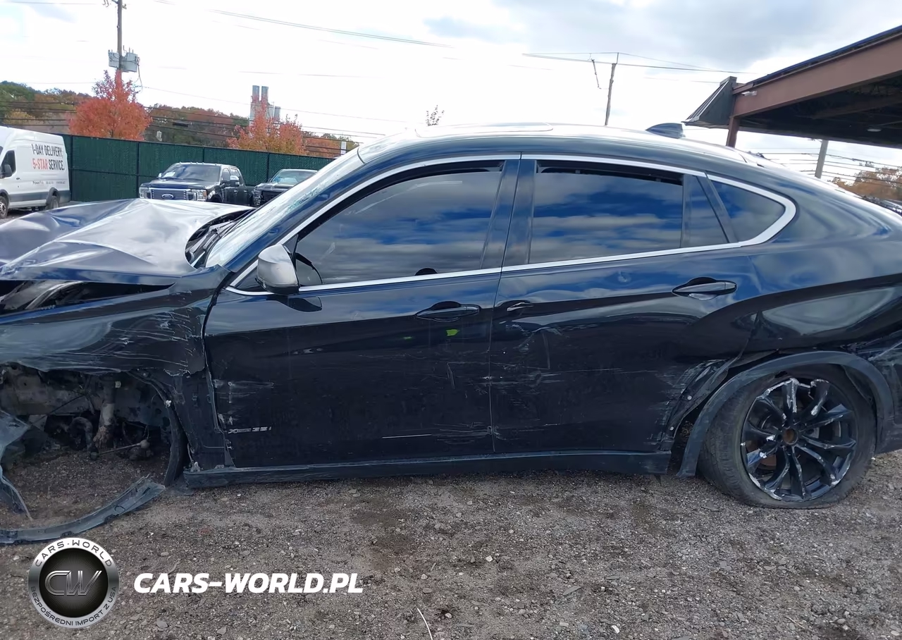 2018 BMW X6 VIN:5UXKU2C52J0X50337 - 14