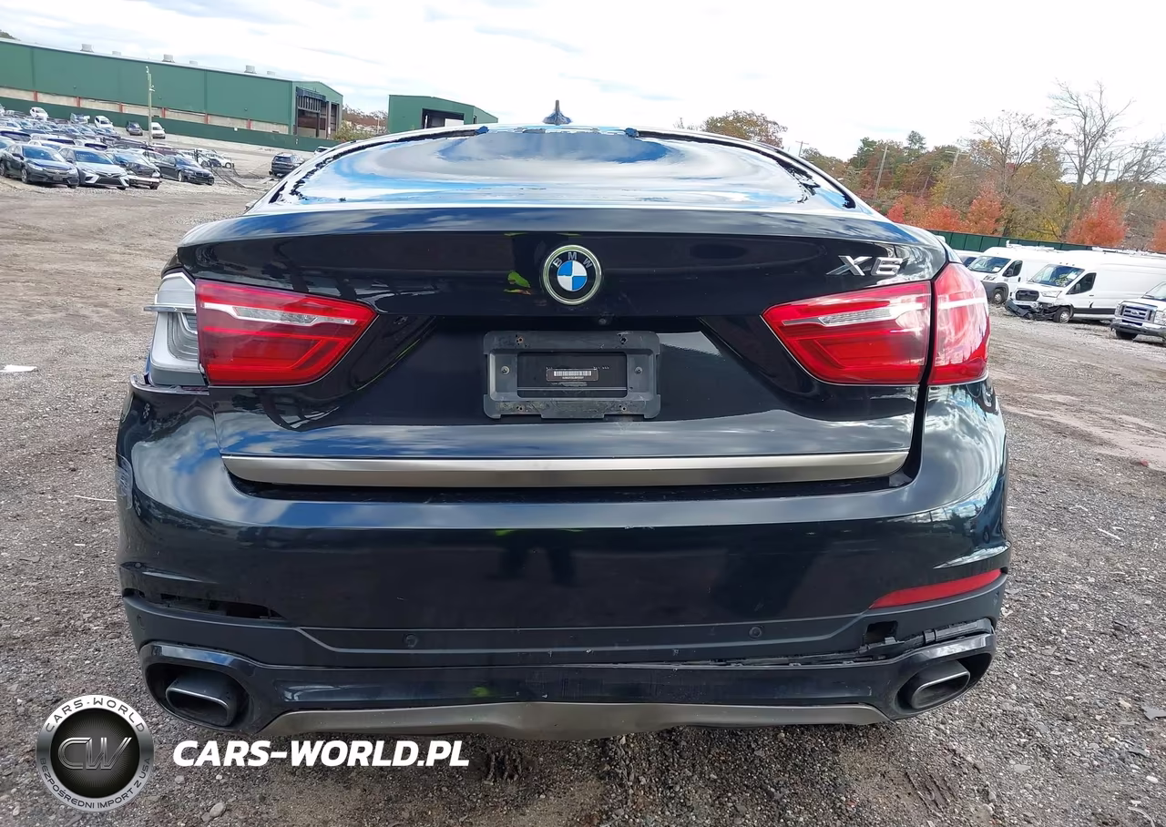 2018 BMW X6 VIN:5UXKU2C52J0X50337 - 16