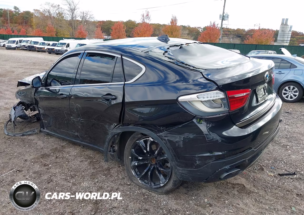 2018 BMW X6 VIN:5UXKU2C52J0X50337 - 3
