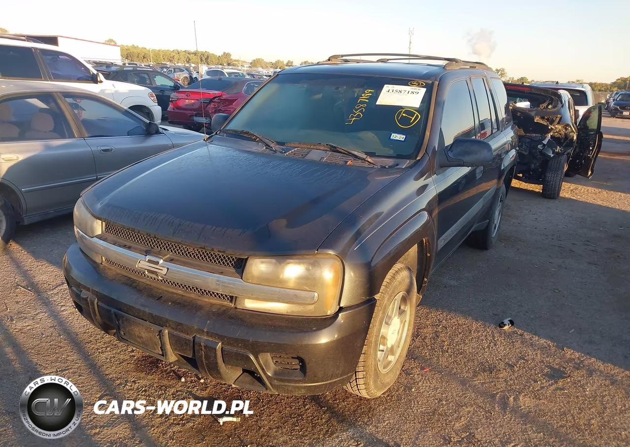 2004 Chevrolet Trailblazer Ls VIN:1GNDS13S742246673 - 2