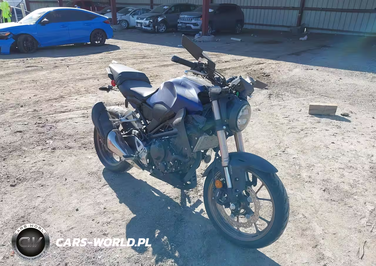 2022 Honda Cbf300 Na