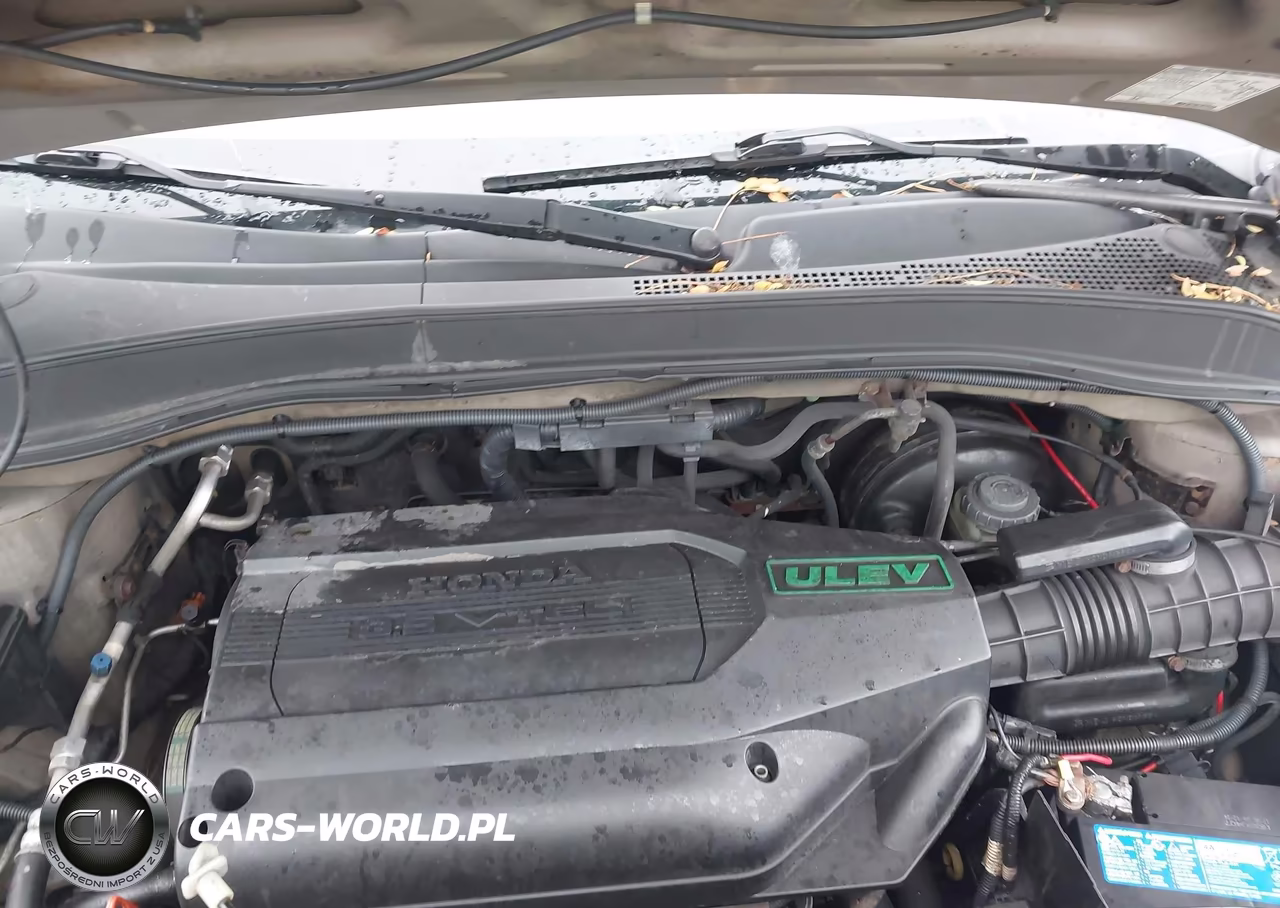 2004 Honda Pilot Ex-L VIN:2HKYF18594H502232 - 10