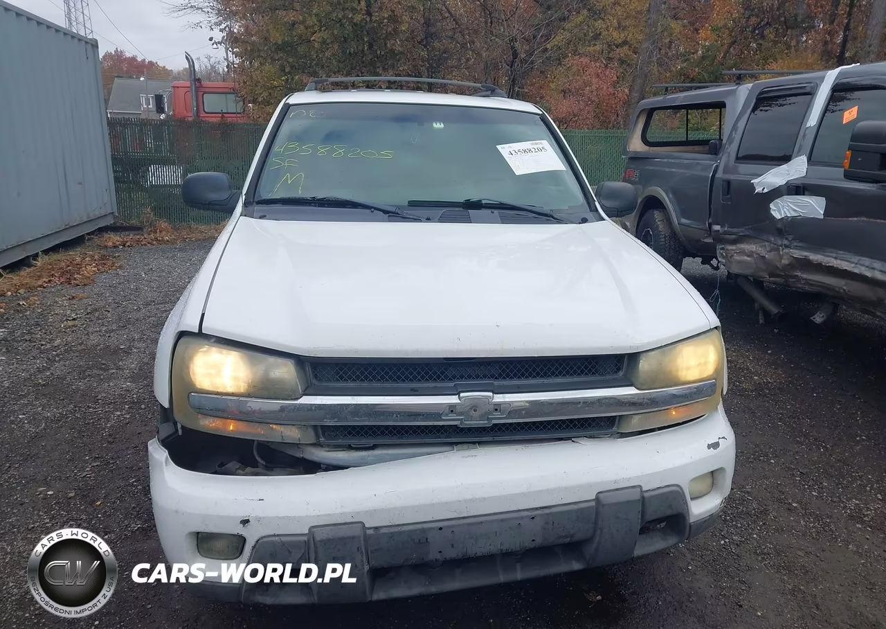 2003 Chevrolet Trailblazer Lt VIN:1GNDT13SX32261499 - 12