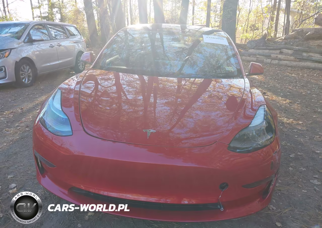 2023 Tesla Model 3 Rear-Wheel Drive VIN:5YJ3E1EA4PF385578 - 12
