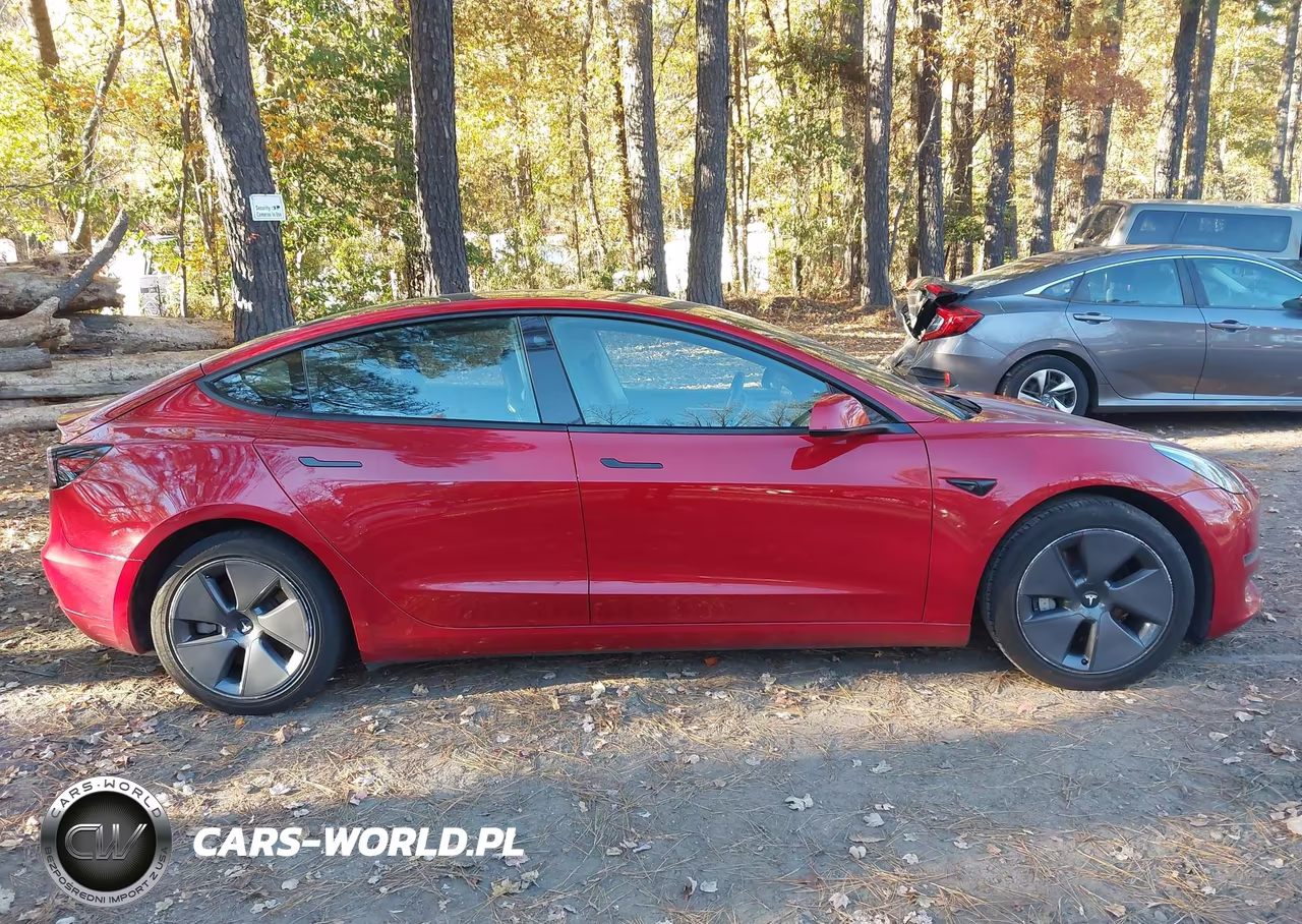 2023 Tesla Model 3 Rear-Wheel Drive VIN:5YJ3E1EA4PF385578 - 13