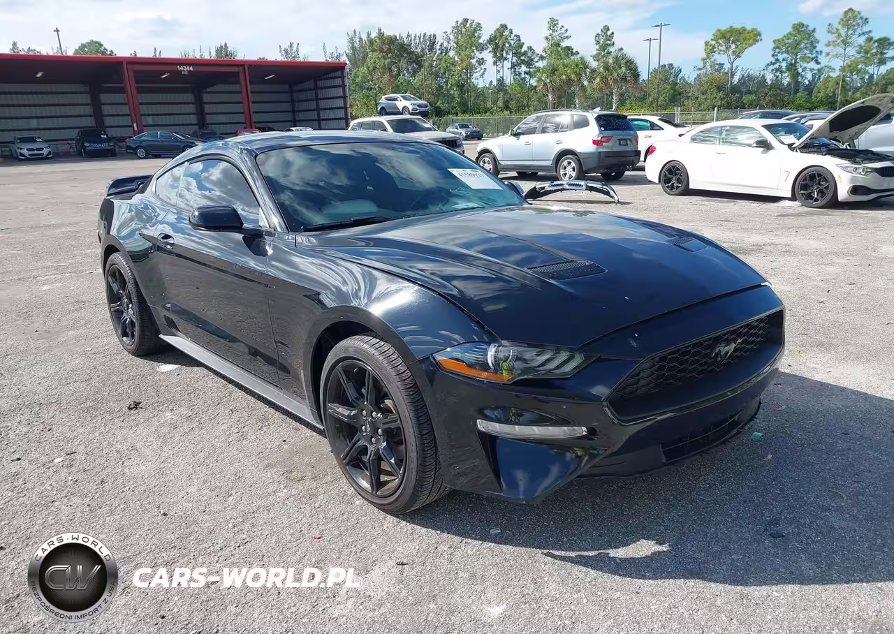 2019 Ford Mustang Ecoboost