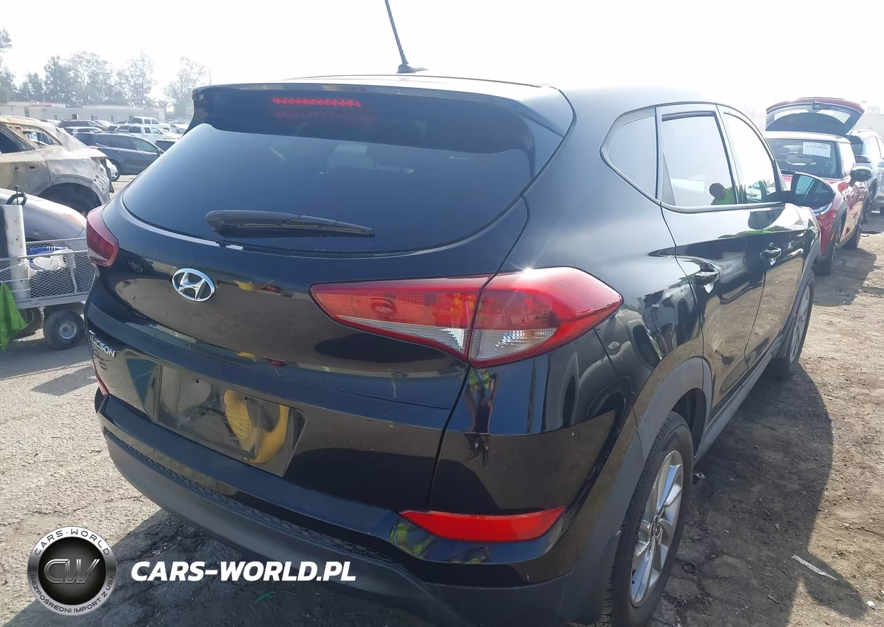 2016 Hyundai Tucson Se VIN:KM8J23A46GU231453 - 4